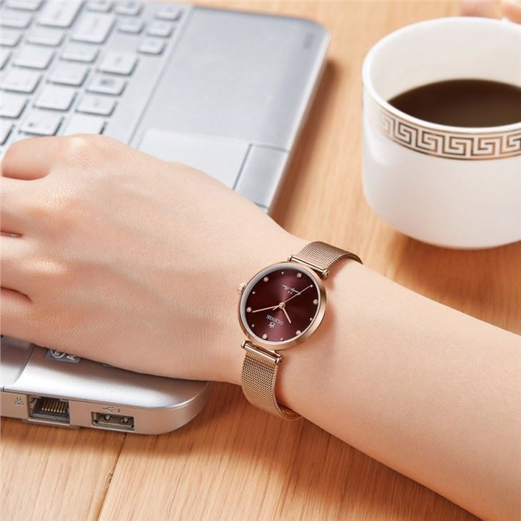 Wristwatches New Style Ladies Watch Stainless Steel Foreign Trade Fashion Watch Mesh Belt Fashion Waterproof